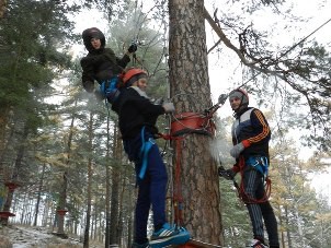 лесной экстрим, октябрь,2014 г.